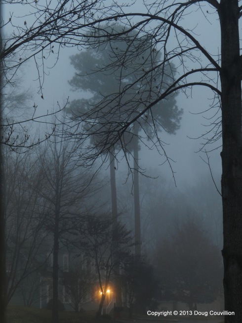 photograph of a suburban street in the early morning fog